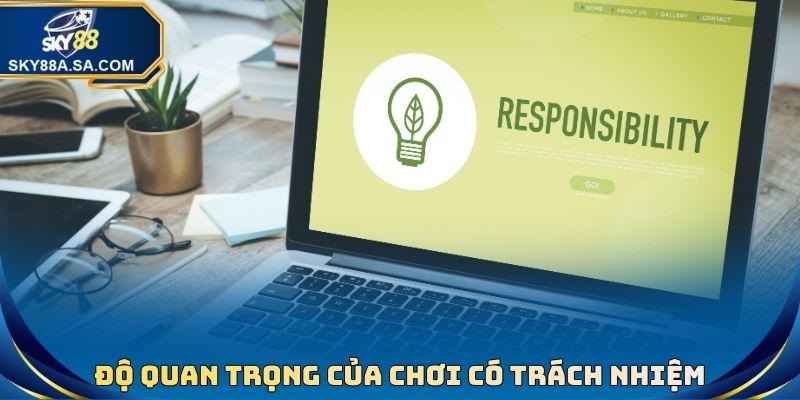 Chơi Có Trách Nhiệm Sky88 - Những Thao Tác Quan Trọng Nhất 3 Độ quan trọng của chơi có trách nhiệm