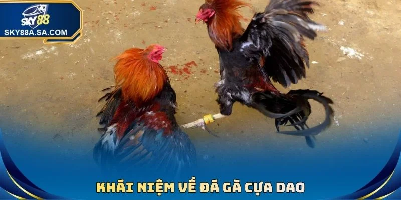 Đá Gà Cựa Dao - Kịch Tính Từng Giây, Nhận Thưởng Lớn 2 Khái niệm về đá gà cựa dao