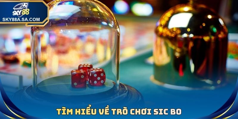 Sic Bo Là Trò Chơi Gì? Cách Chơi Cụ Thể Và Mẹo Săn Thưởng 2 Tìm hiểu về trò chơi Sic bo