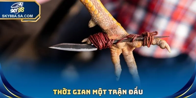 Đá Gà Cựa Dao - Kịch Tính Từng Giây, Nhận Thưởng Lớn 3 Thời gian một trận đấu